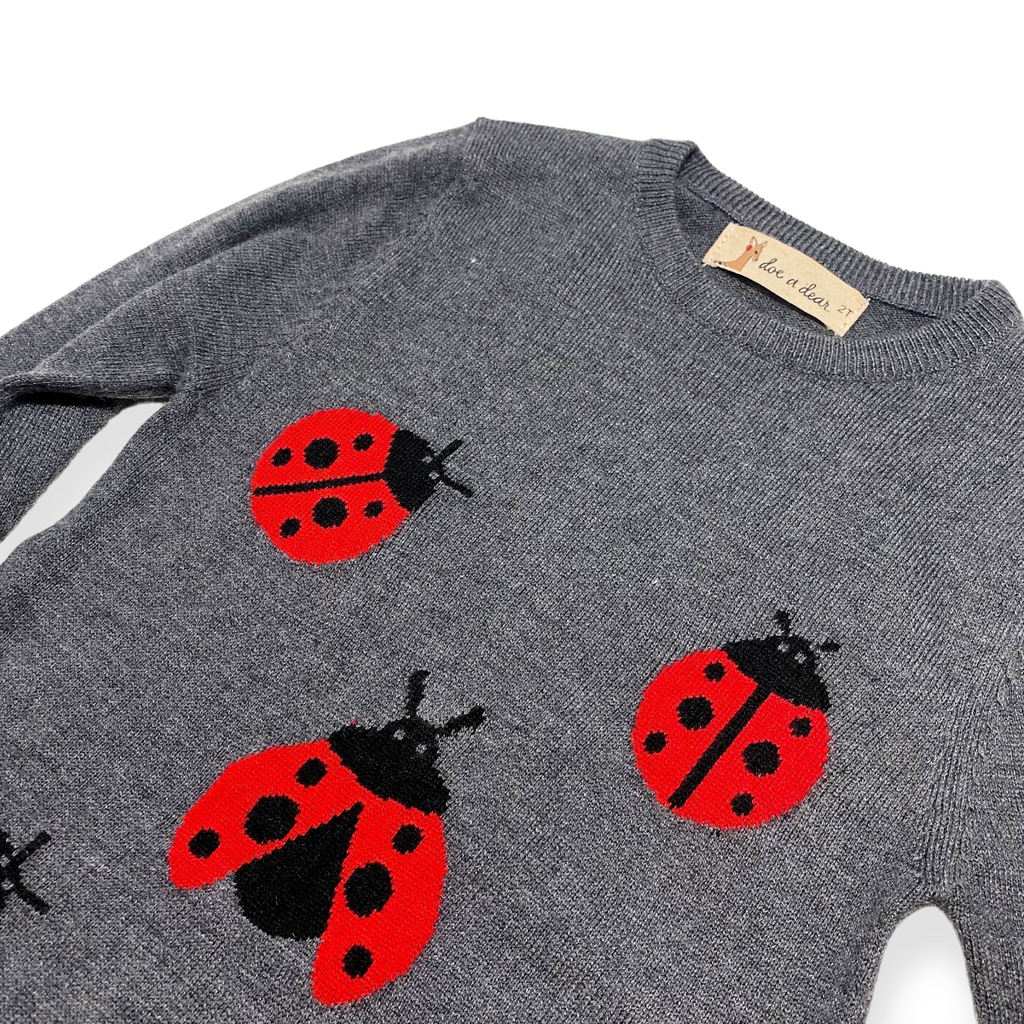 Ladybug Wooly Tunic Sweater -Grey - doe a dear