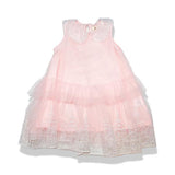 Round Collar Embroidery Mesh Dress