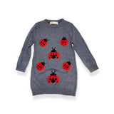 Ladybug Wooly Tunic Sweater -Grey