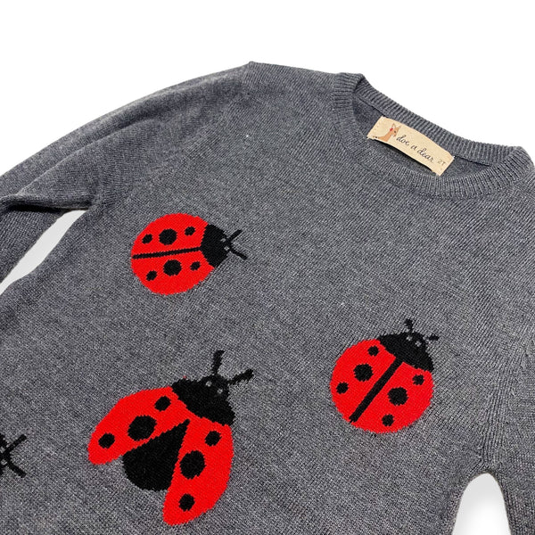 Ladybug Wooly Tunic Sweater -Grey - doe a dear