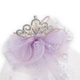 Tiara Hair Clip w/ Snowflake Mesh