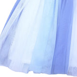 Blue Ballerina Tulle Dress