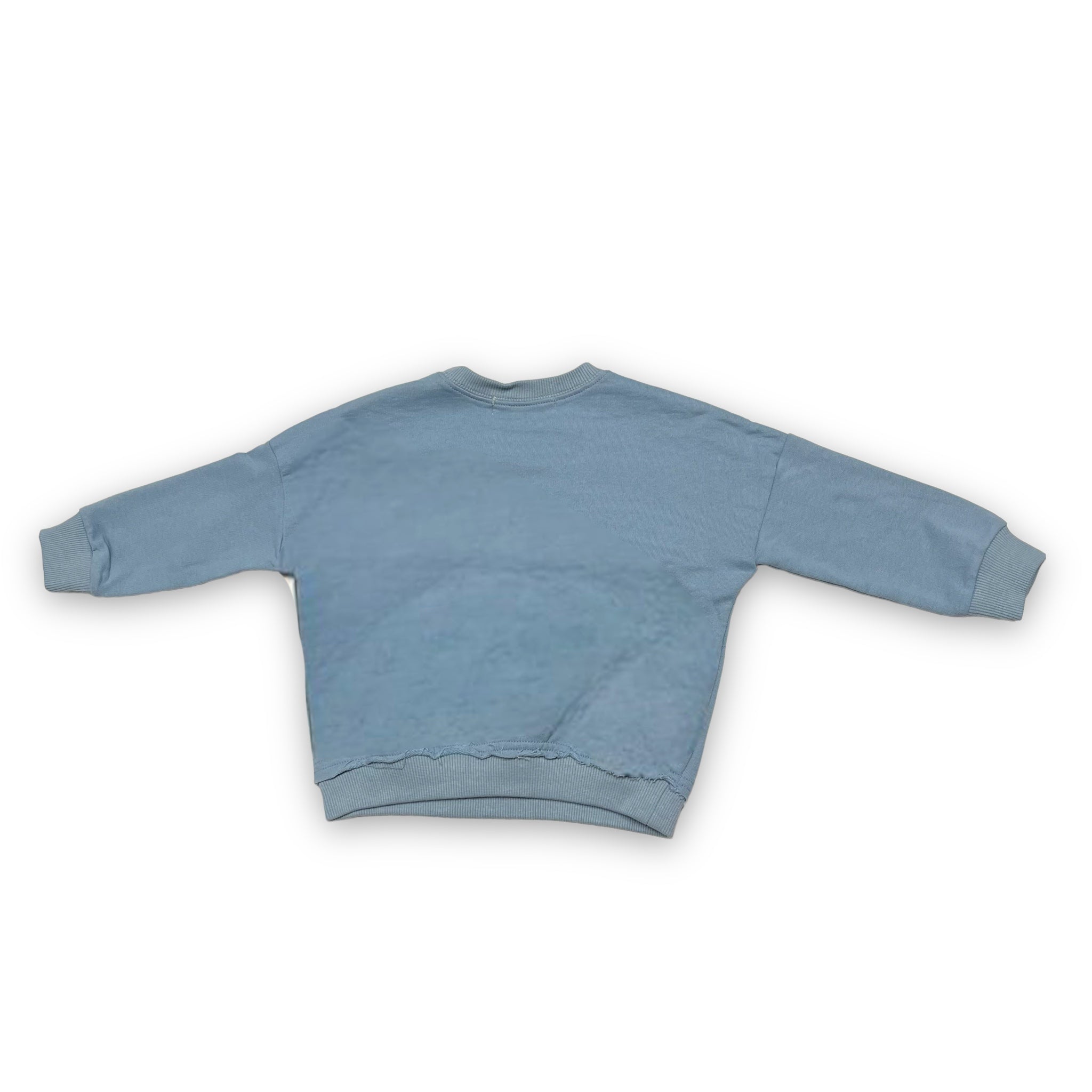 L/S Whale Patch Crew Neck Sweatshirt - doe a dear